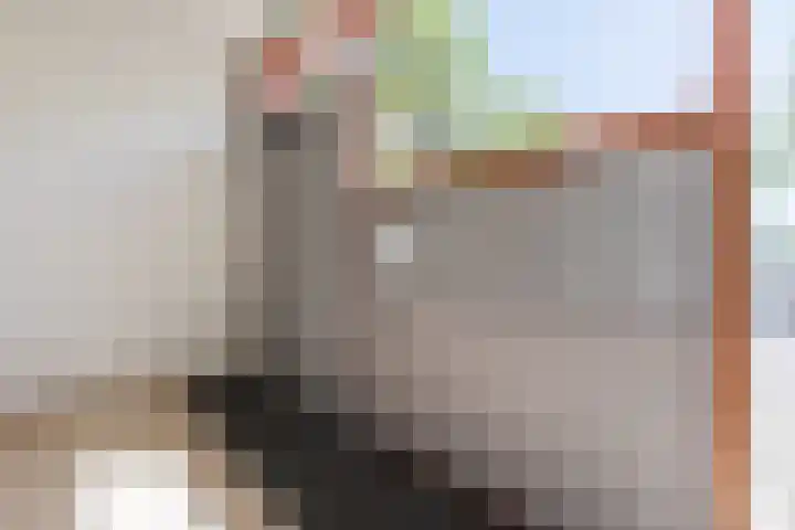 Daemslunet 10 E Maastricht thumbnail 28