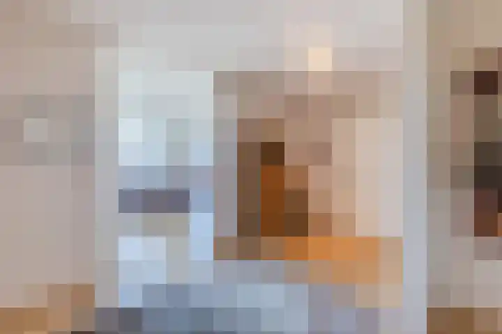 Daemslunet 10 E Maastricht thumbnail 6