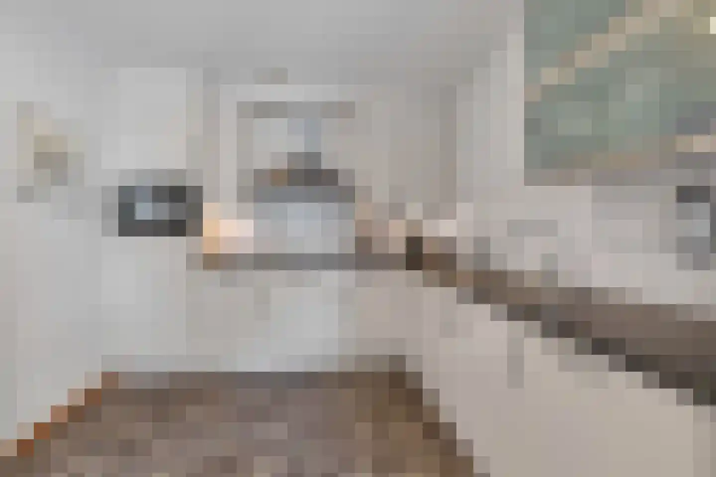 Daemslunet 12 A Maastricht thumbnail 5