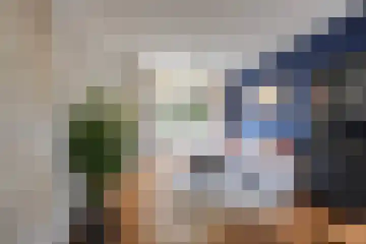 Daendelsstraat 16 Tilburg thumbnail 13