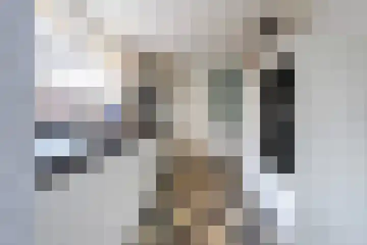 Daendelsstraat 16 Tilburg thumbnail 18