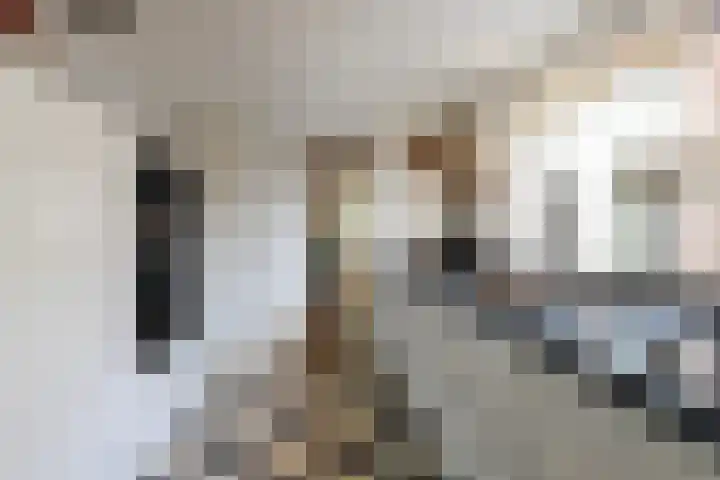 Daendelsstraat 16 Tilburg thumbnail 20