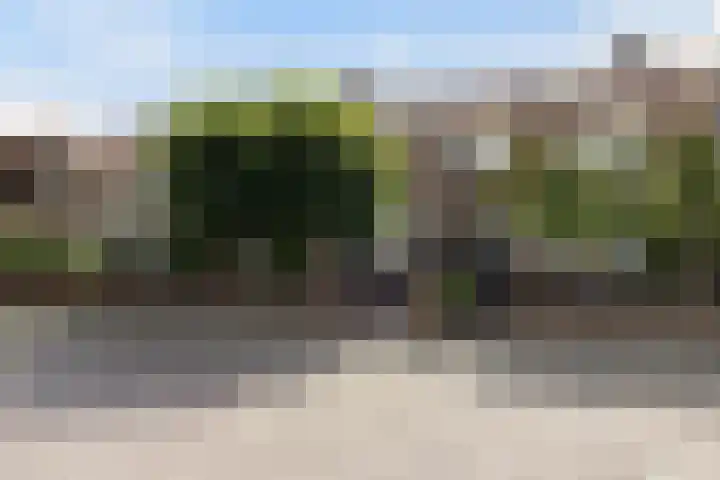 Daendelsstraat 16 Tilburg thumbnail 8