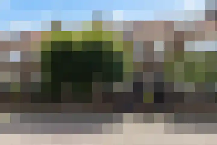 Daendelsstraat 16 Tilburg thumbnail 9