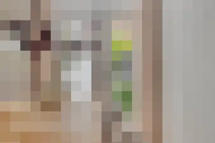 Daendelsstraat 18 Tilburg thumbnail 16