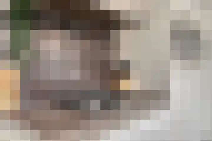 Daendelsstraat 18 Tilburg thumbnail 20