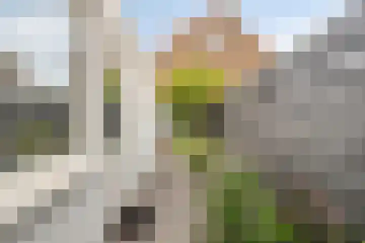Daendelsstraat 18 Tilburg thumbnail 42