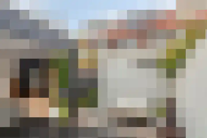 Daendelsstraat 18 Tilburg thumbnail 46