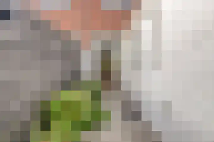 Daendelsstraat 18 Tilburg thumbnail 48