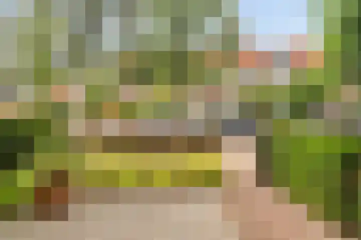 Daendelsstraat 18 Tilburg thumbnail 50