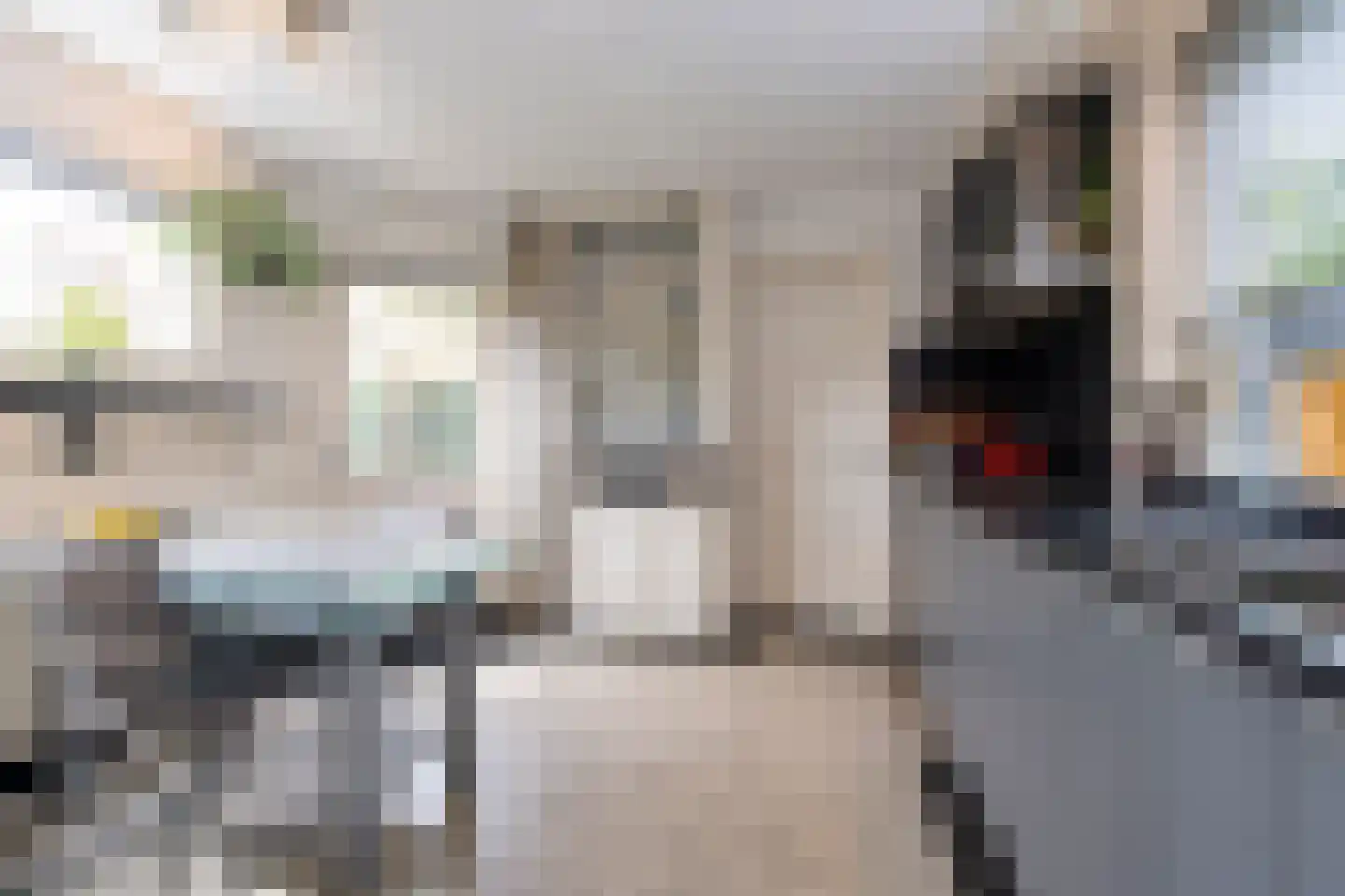 Daendelsstraat 19 Tilburg thumbnail 12