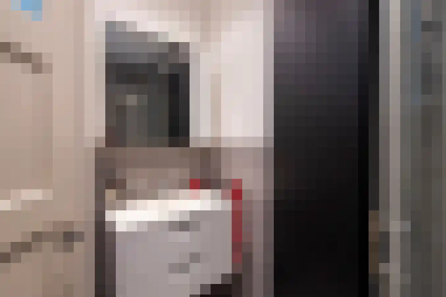 Daendelsstraat 19 Tilburg thumbnail 17