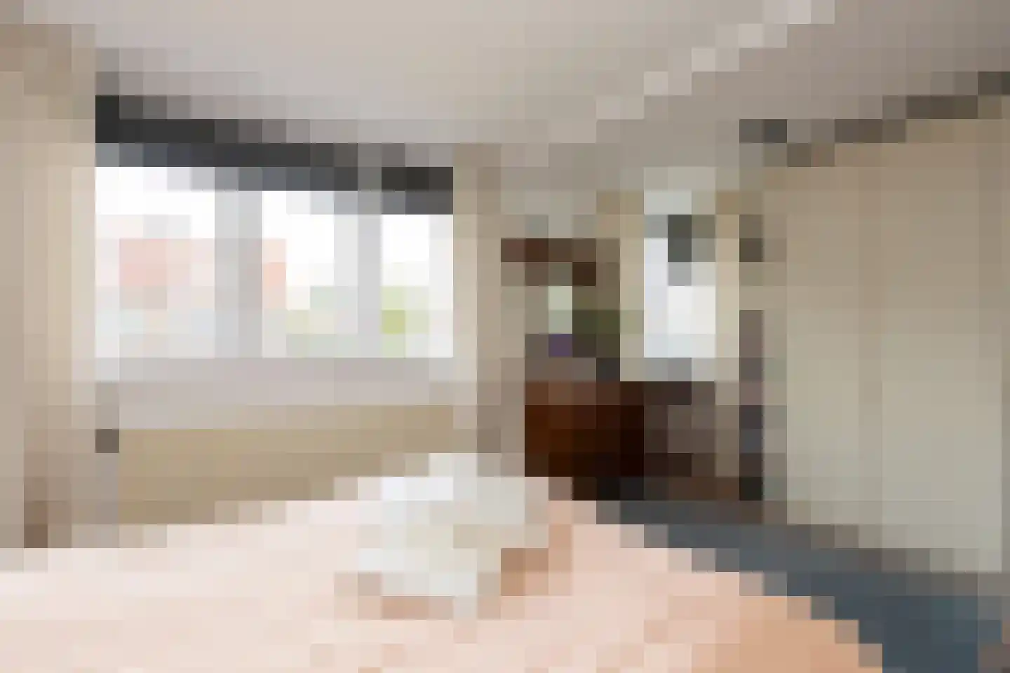 Daendelsstraat 19 Tilburg thumbnail 23