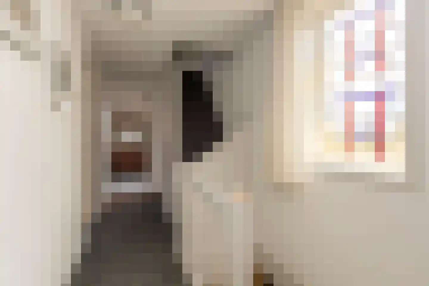 Daendelsstraat 19 Tilburg thumbnail 25