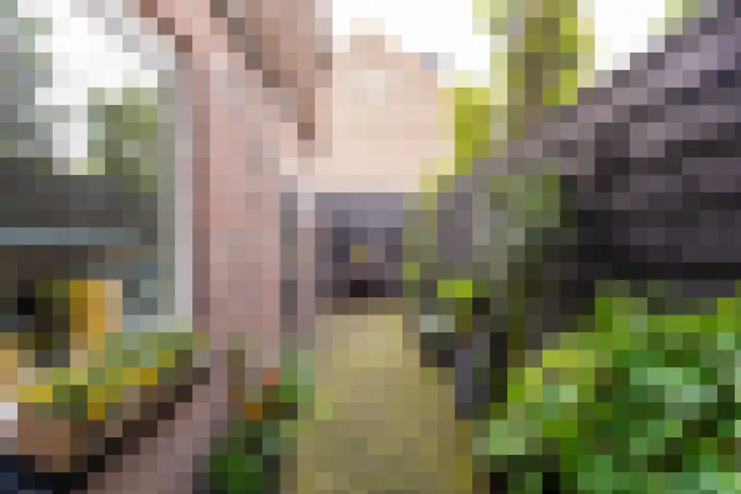 Daendelsstraat 19 Tilburg thumbnail 28