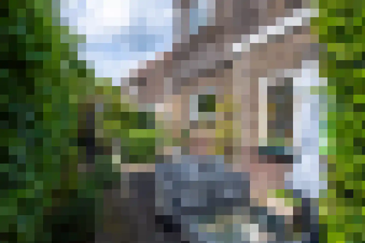 Daendelsstraat 19 Tilburg thumbnail 33