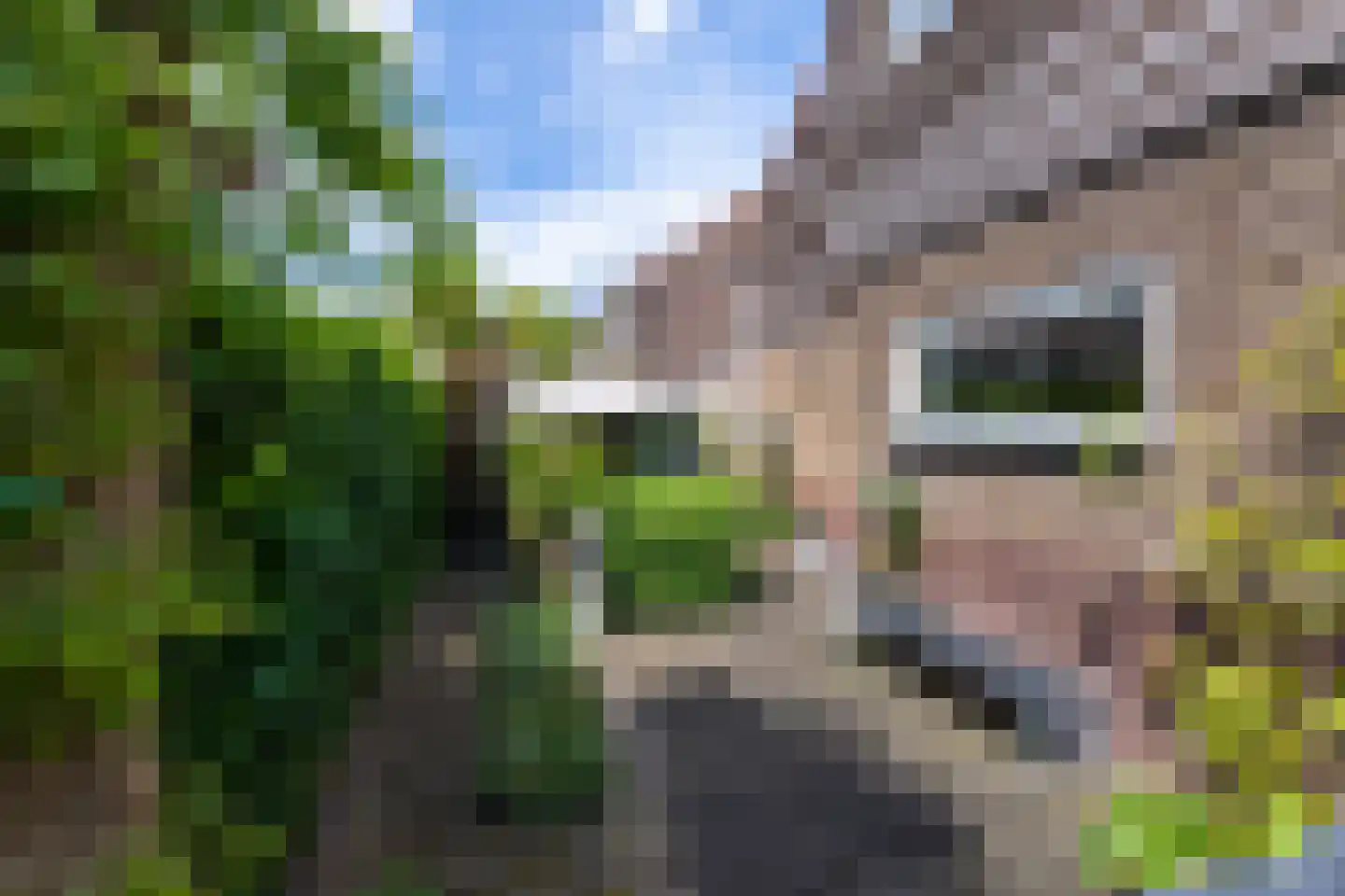 Daendelsstraat 19 Tilburg thumbnail 35