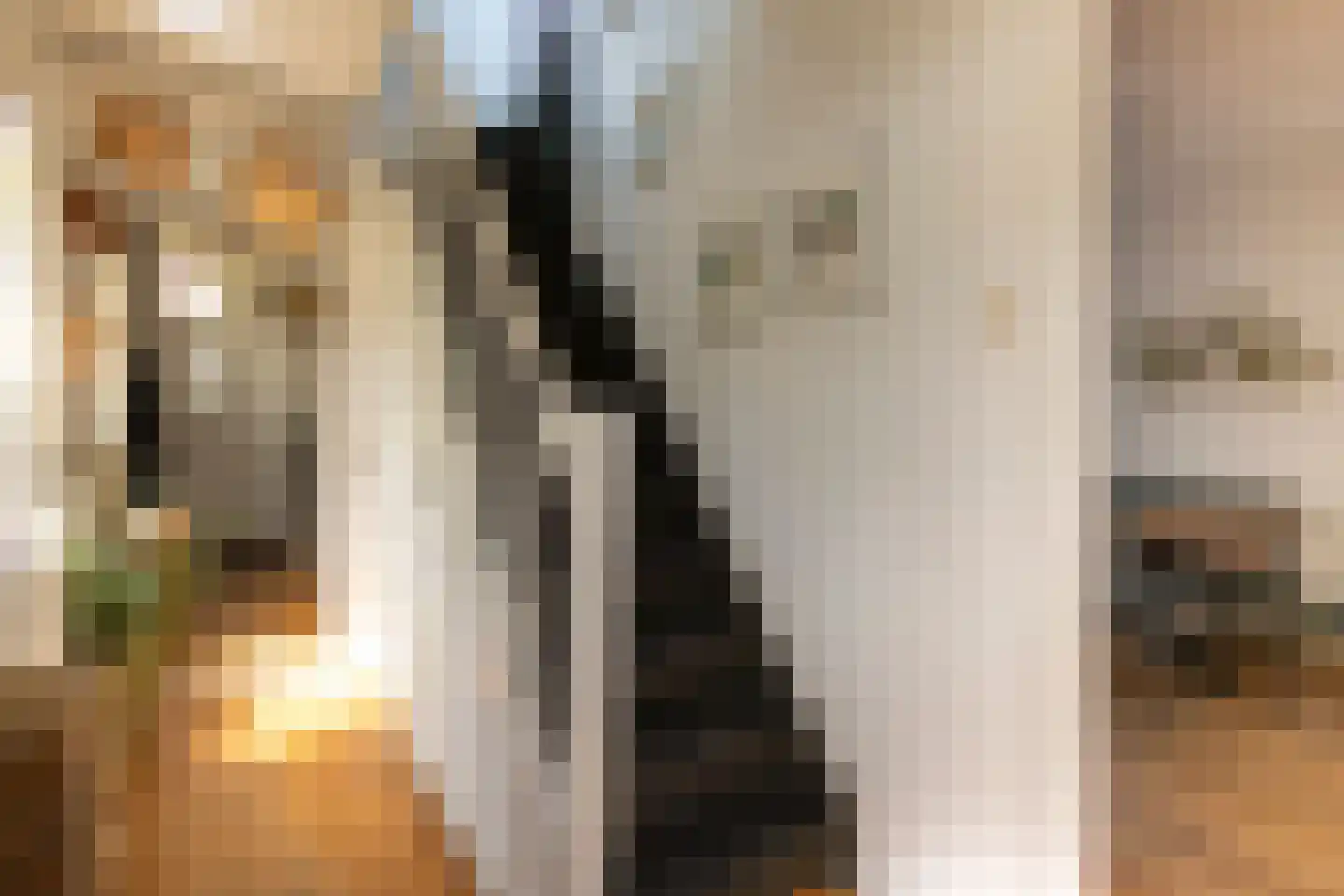 Daendelsstraat 19 Tilburg thumbnail 4
