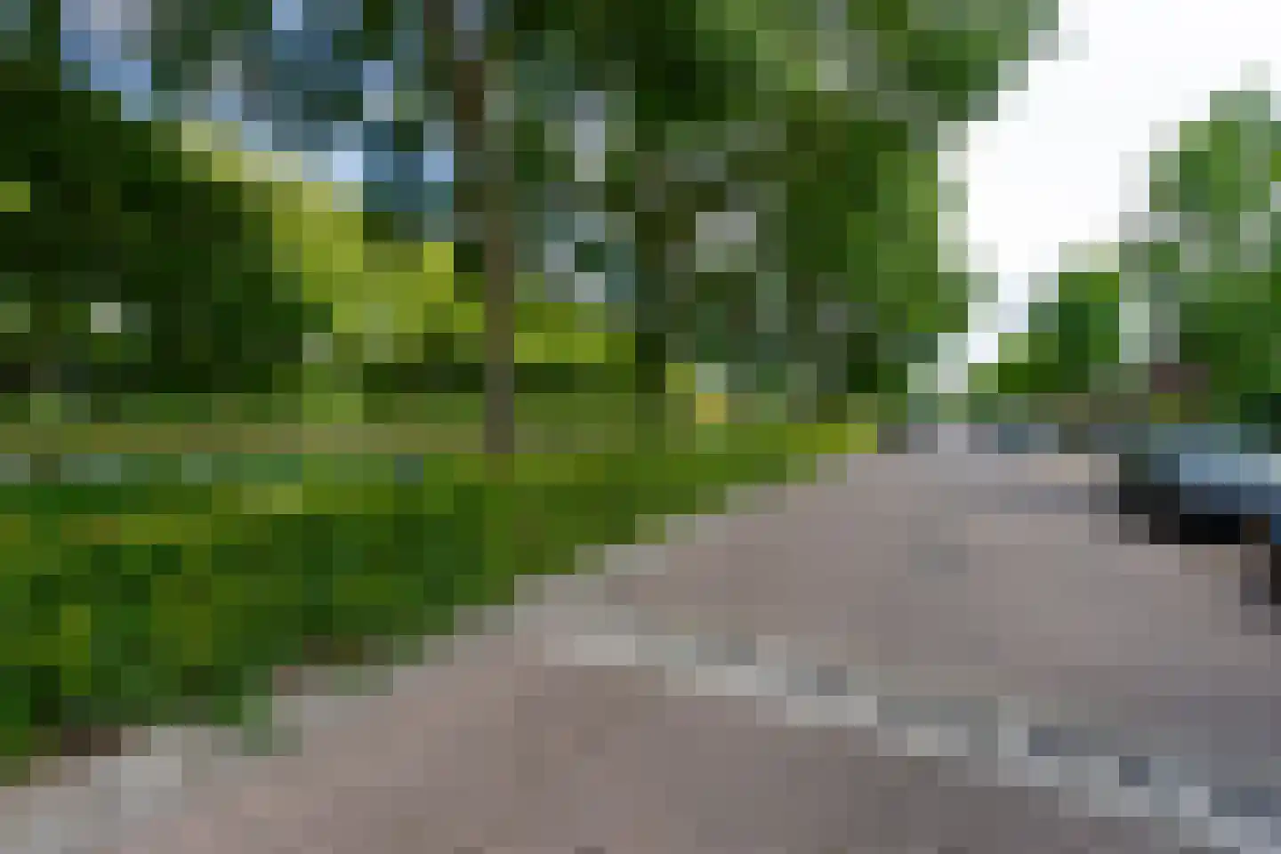 Daendelsstraat 19 Tilburg thumbnail 43