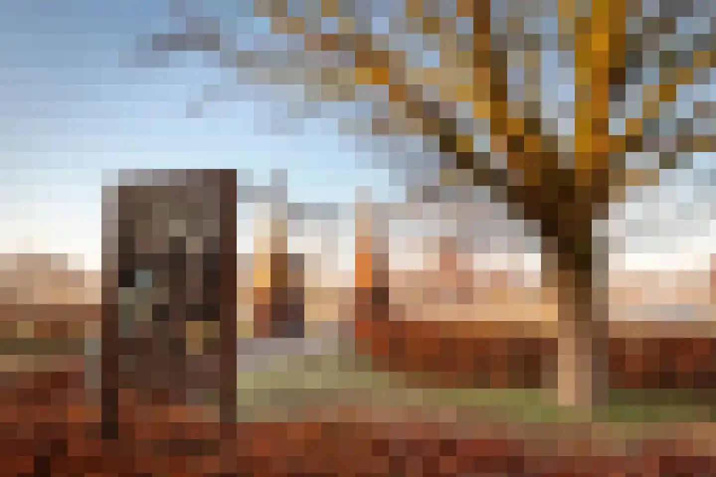 Daendelsstraat 19 Tilburg thumbnail 45
