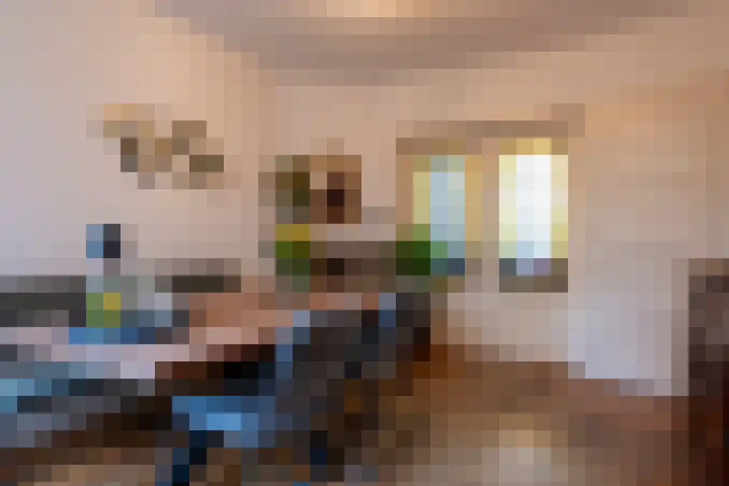 Daendelsstraat 19 Tilburg thumbnail 7