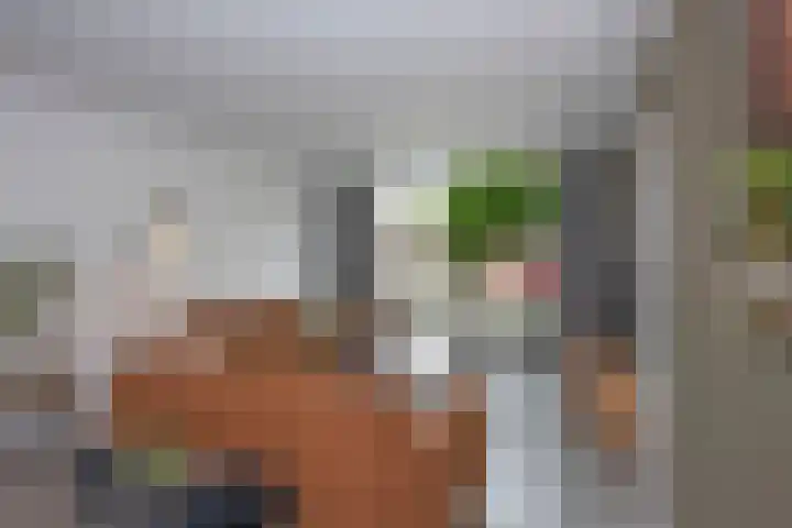 Daendelsstraat 24 Enschede thumbnail 10