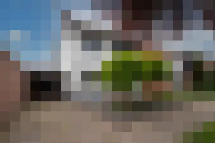 Daendelsstraat 24 Enschede thumbnail 4