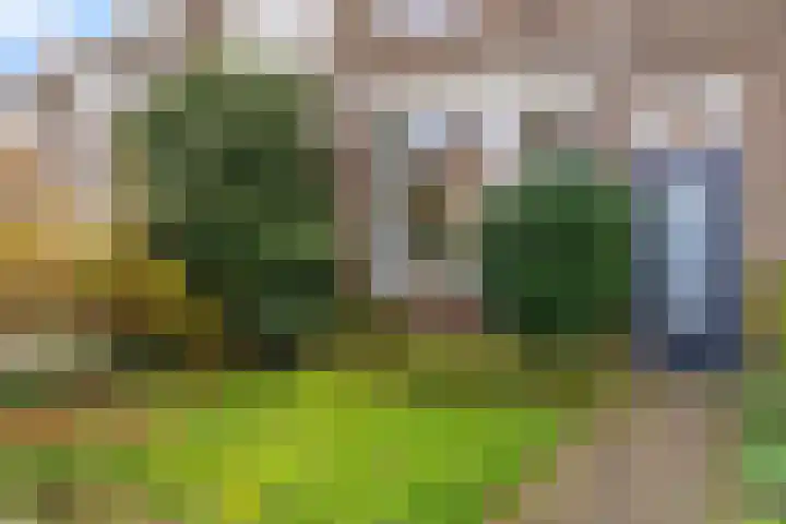 Daendelsstraat 28 Tilburg thumbnail 38