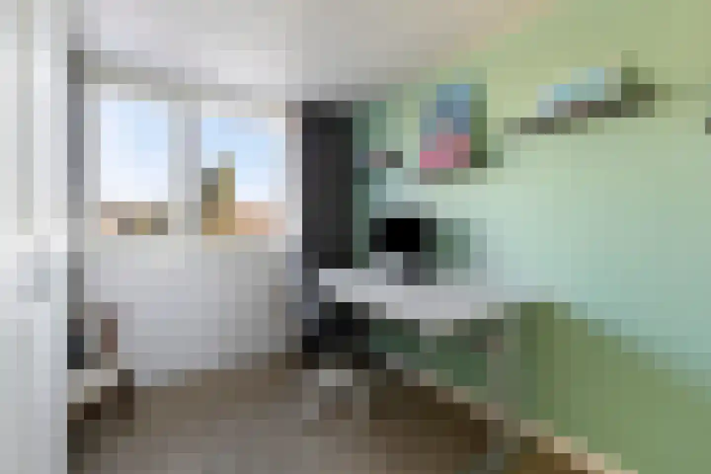 Daendelsstraat 33 a Tilburg thumbnail 26