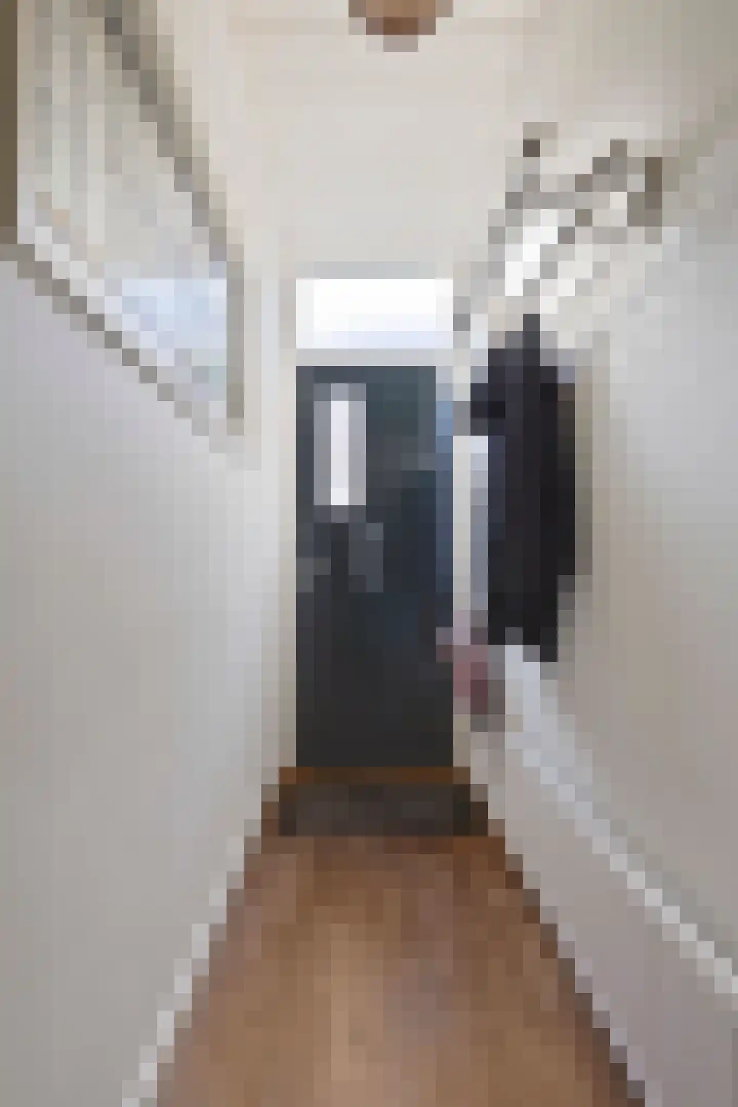 Daendelsstraat 33 a Tilburg thumbnail 5