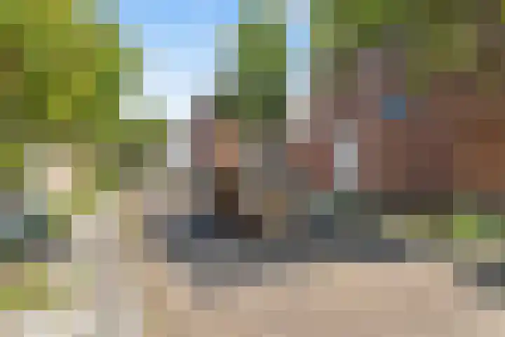 Daendelsstraat 33 Utrecht thumbnail 17