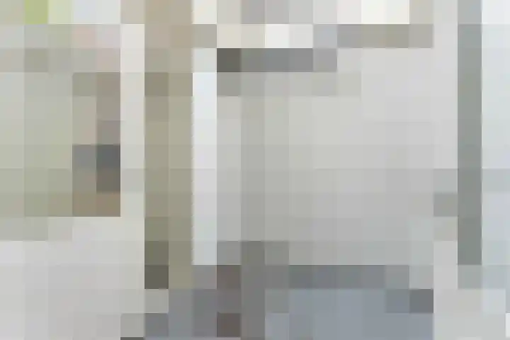 Daendelsstraat 33 Utrecht thumbnail 4