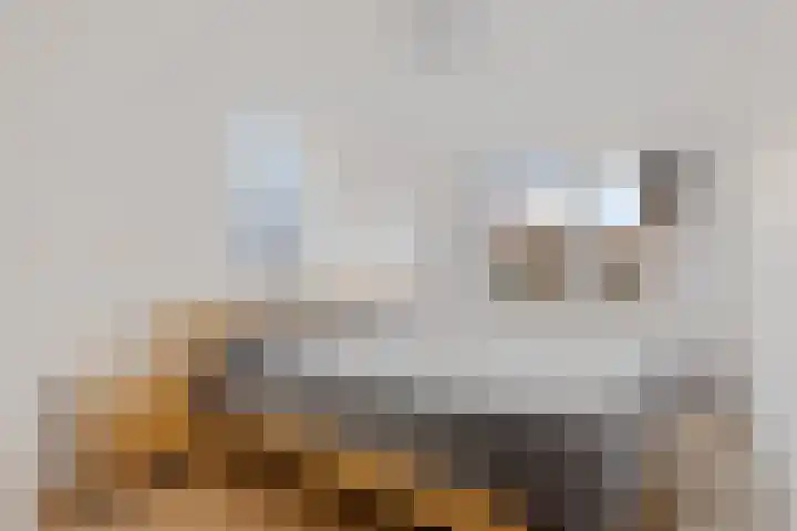 Daendelsstraat 35 Tilburg thumbnail 27