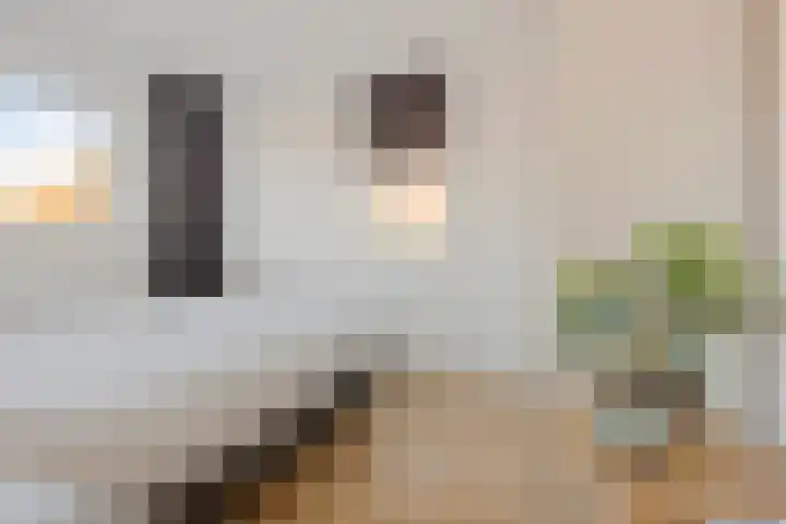Daendelsstraat 35 Tilburg thumbnail 30