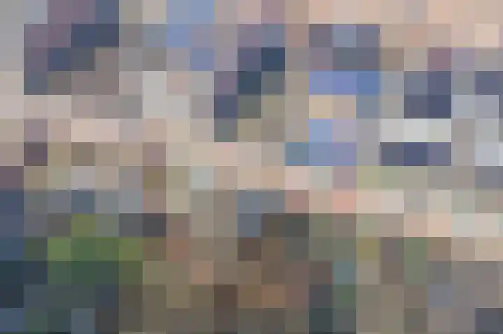 Daendelsstraat 46 Utrecht thumbnail 20
