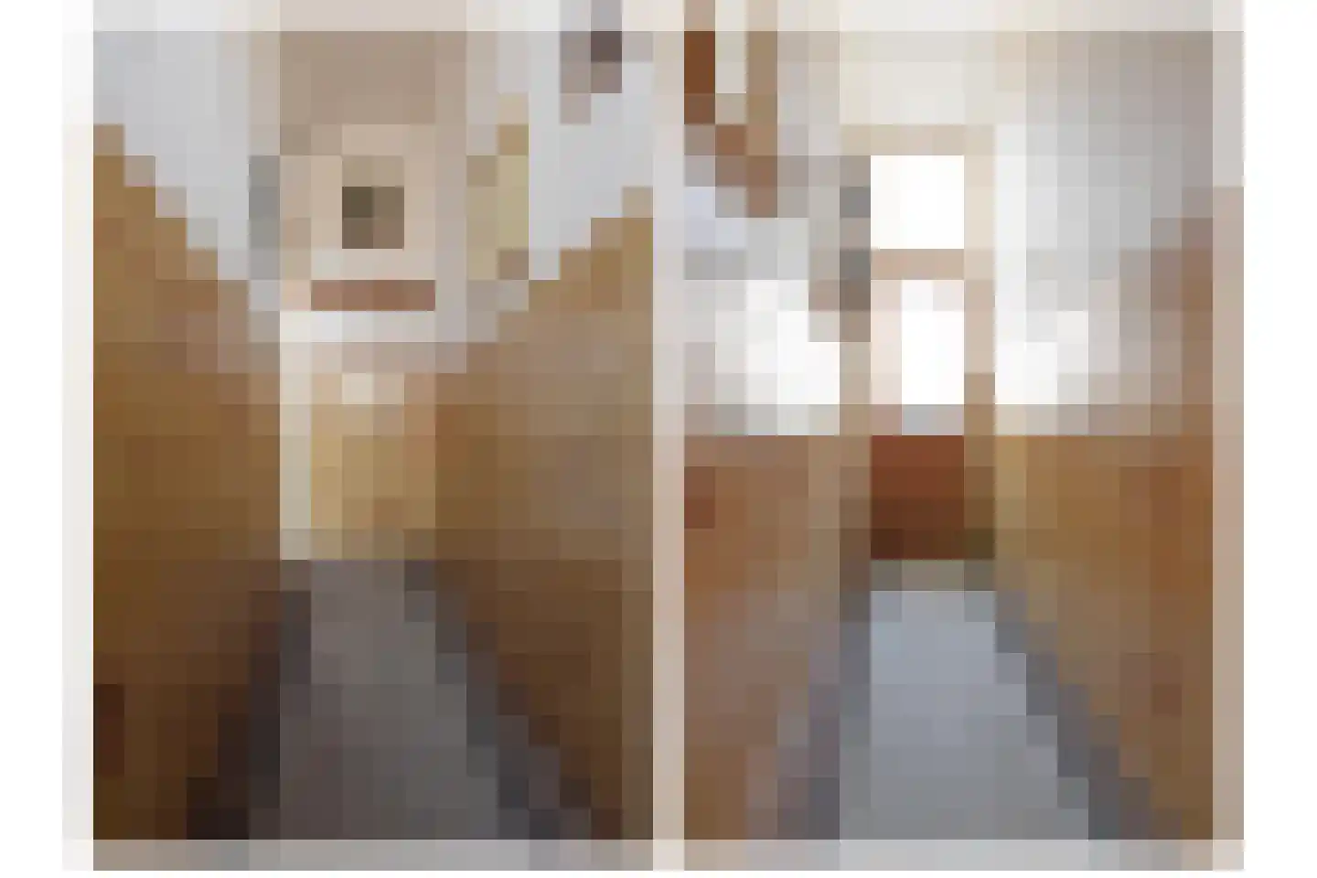 Daendelsstraat 46 Utrecht thumbnail 21