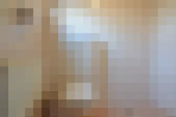 Daendelsstraat 46 Utrecht thumbnail 8