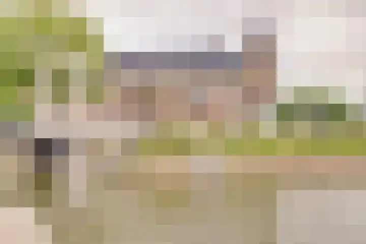 Daendelsstraat 49 Utrecht thumbnail 26