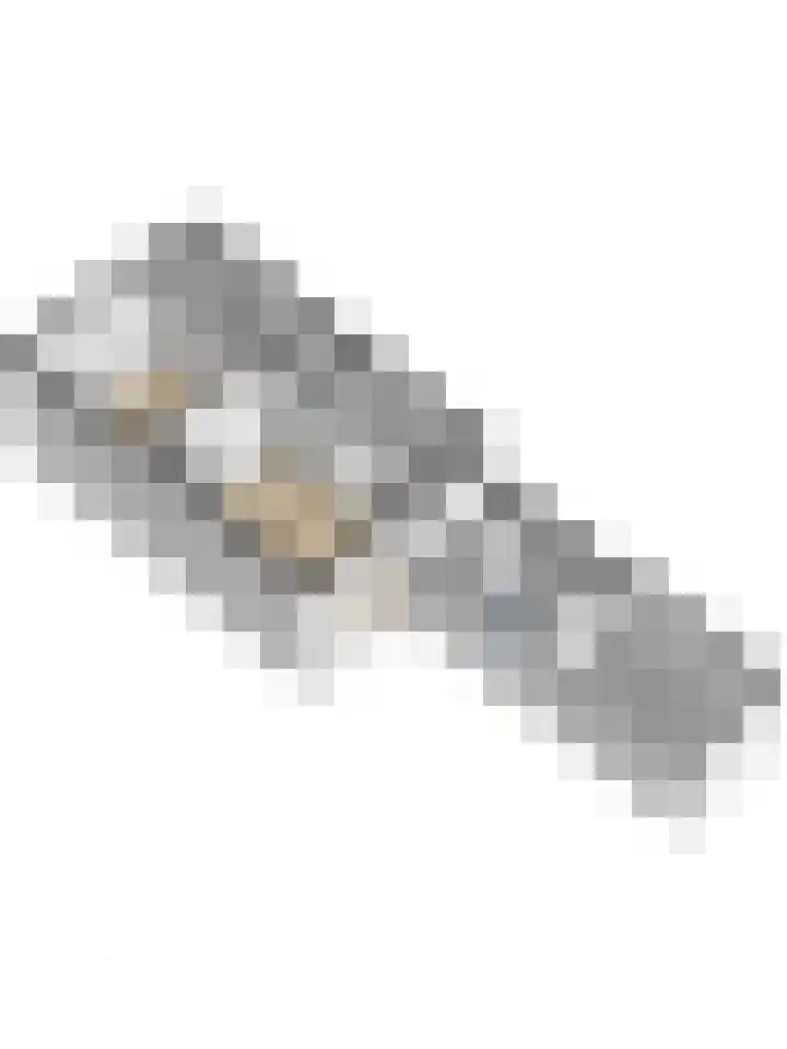 Daendelsstraat 49 Utrecht thumbnail 34