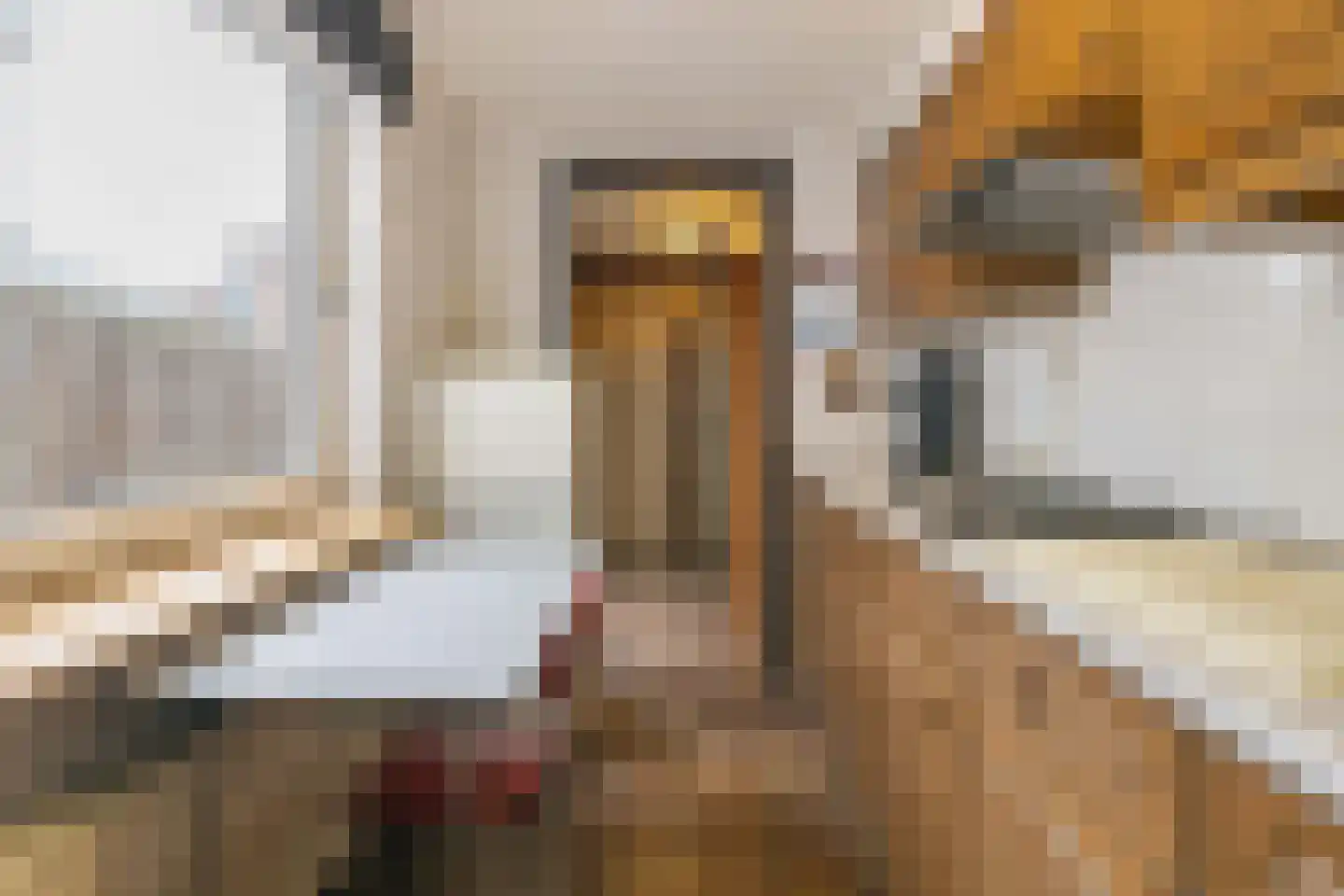 Daendelsstraat 53 Tilburg thumbnail 10