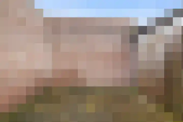 Daendelsstraat 53 Tilburg thumbnail 31