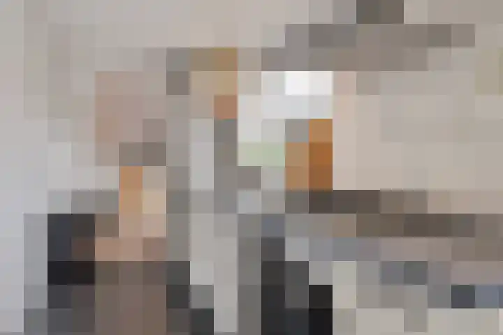 Daendelsstraat 54 Tilburg thumbnail 10
