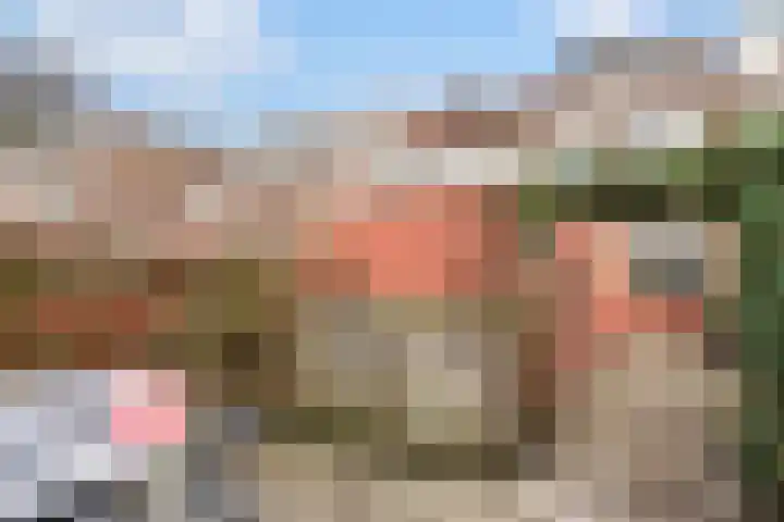 Daendelsstraat 54 Tilburg thumbnail 30