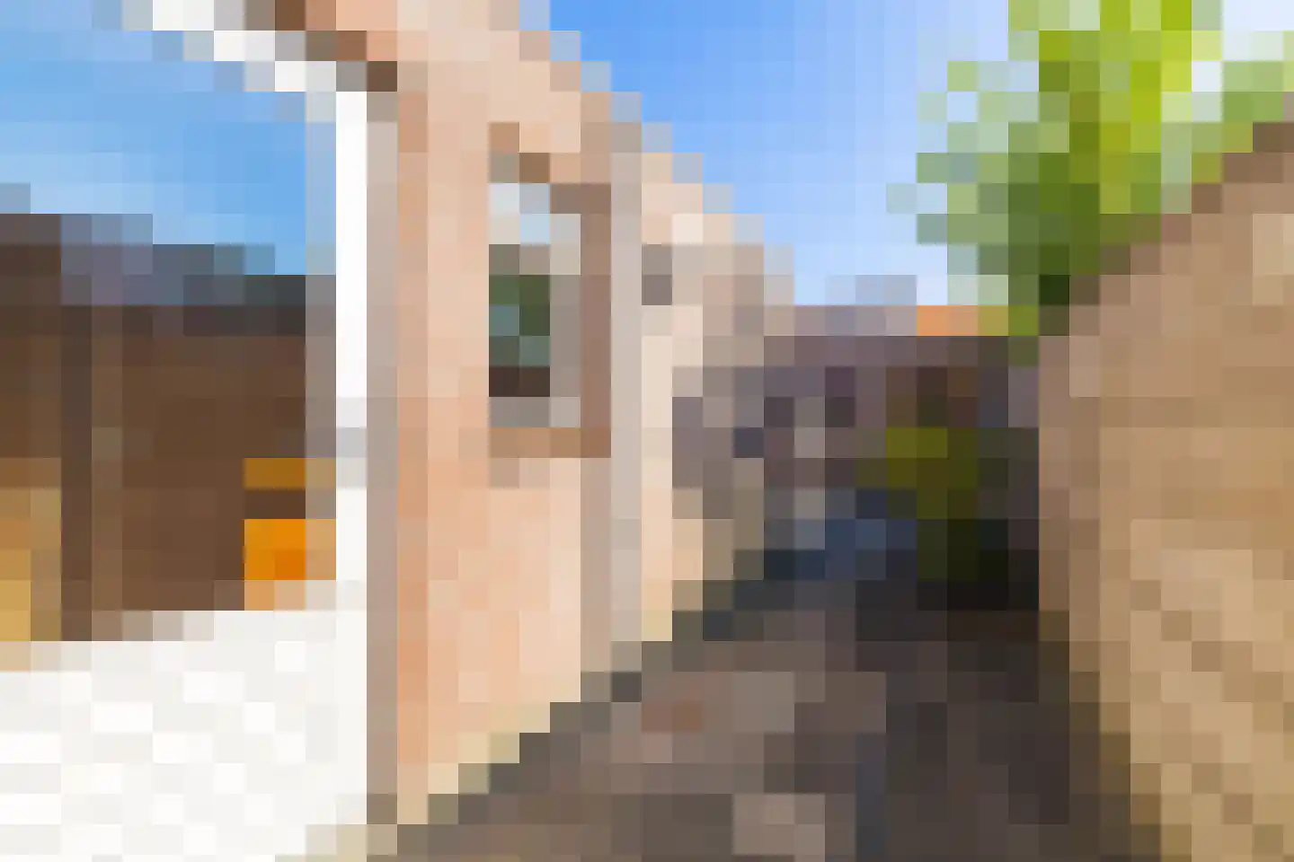 Daendelsstraat 56 Tilburg thumbnail 31