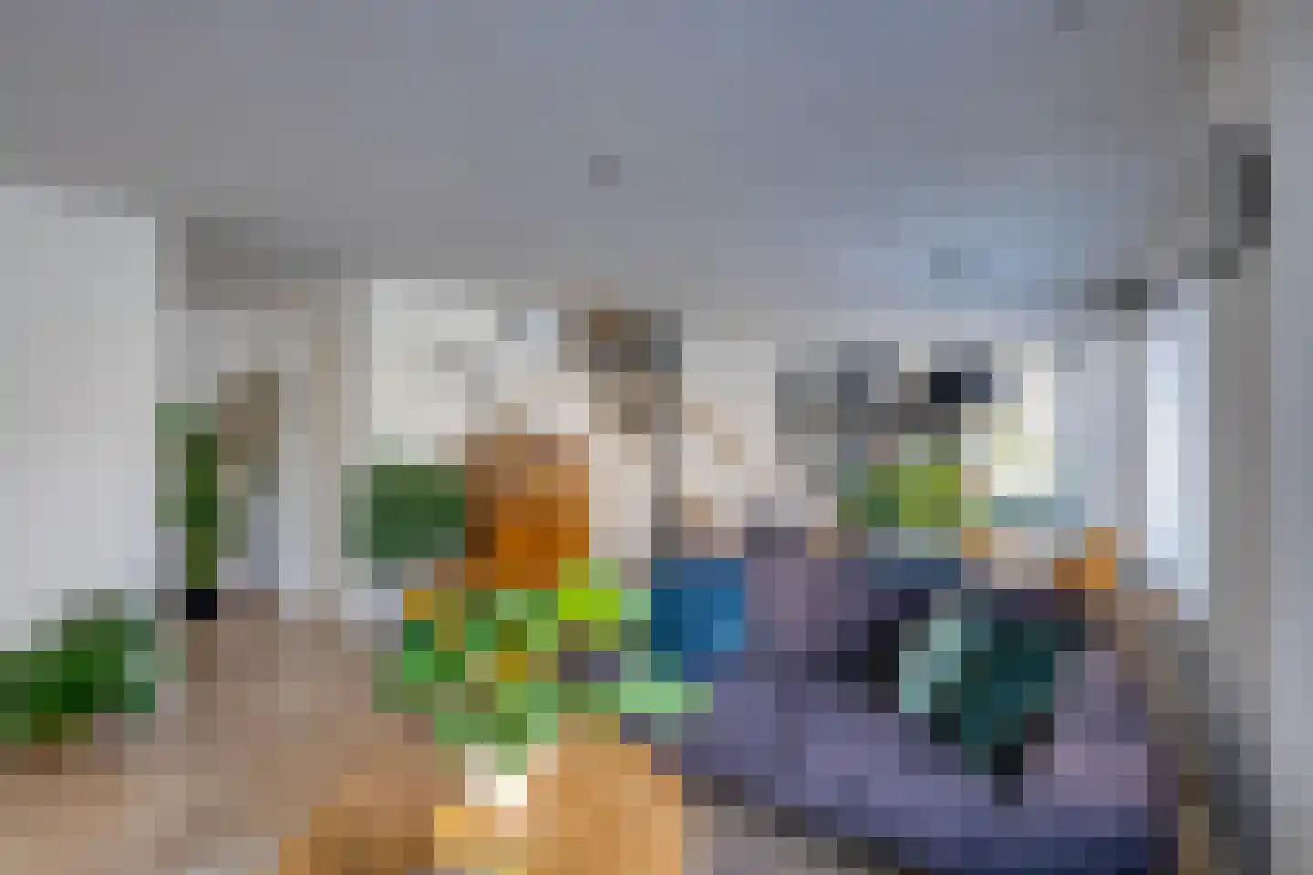 Daendelsstraat 66 Tilburg thumbnail 12