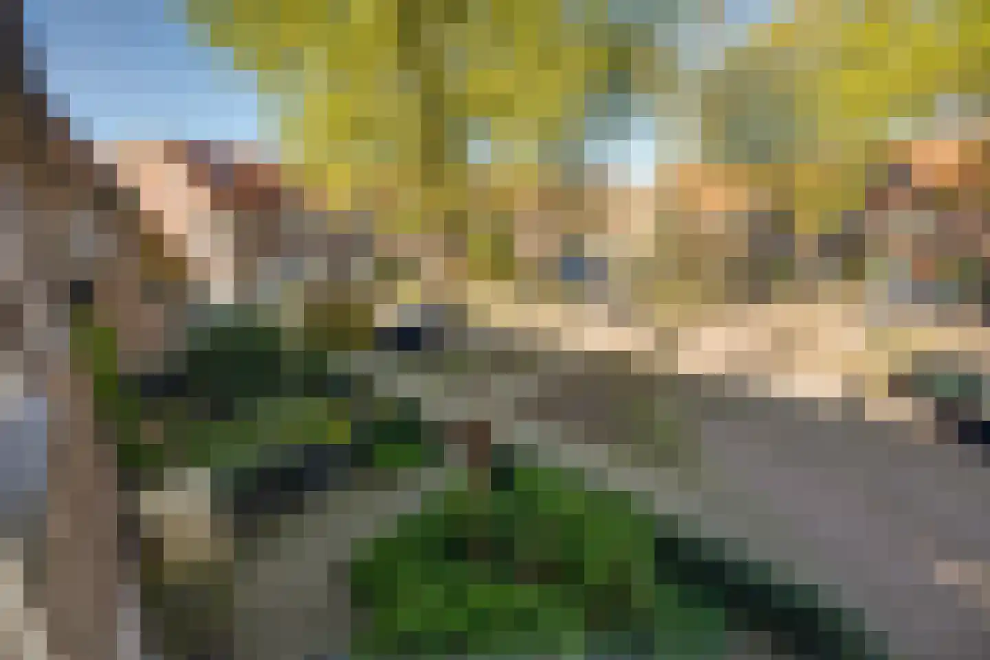 Daendelsstraat 66 Tilburg thumbnail 27