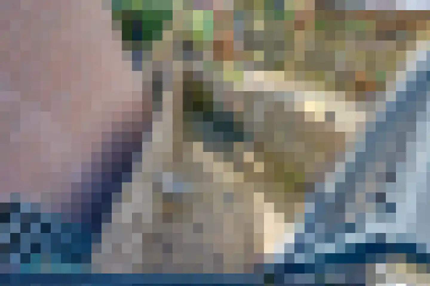 Daendelsstraat 66 Tilburg thumbnail 5