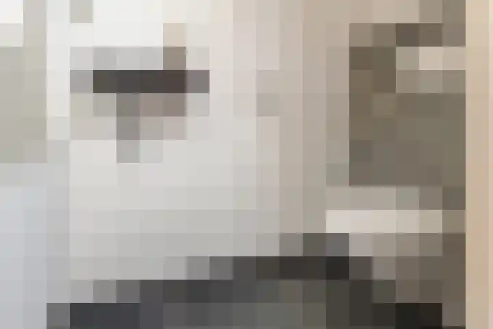 Daendelsstraat 67 Utrecht thumbnail 18