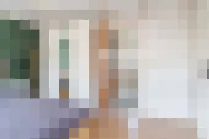 Daendelsstraat 67 Utrecht thumbnail 22