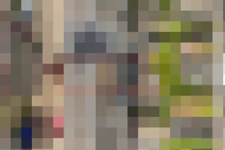 Daendelsstraat 67 Utrecht thumbnail 35
